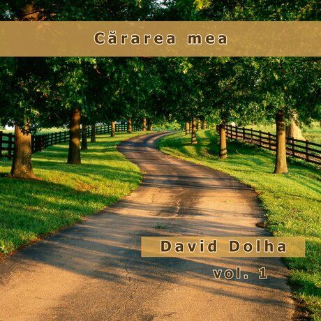 David Dolha - Cararea mea Vol.1 (1999)