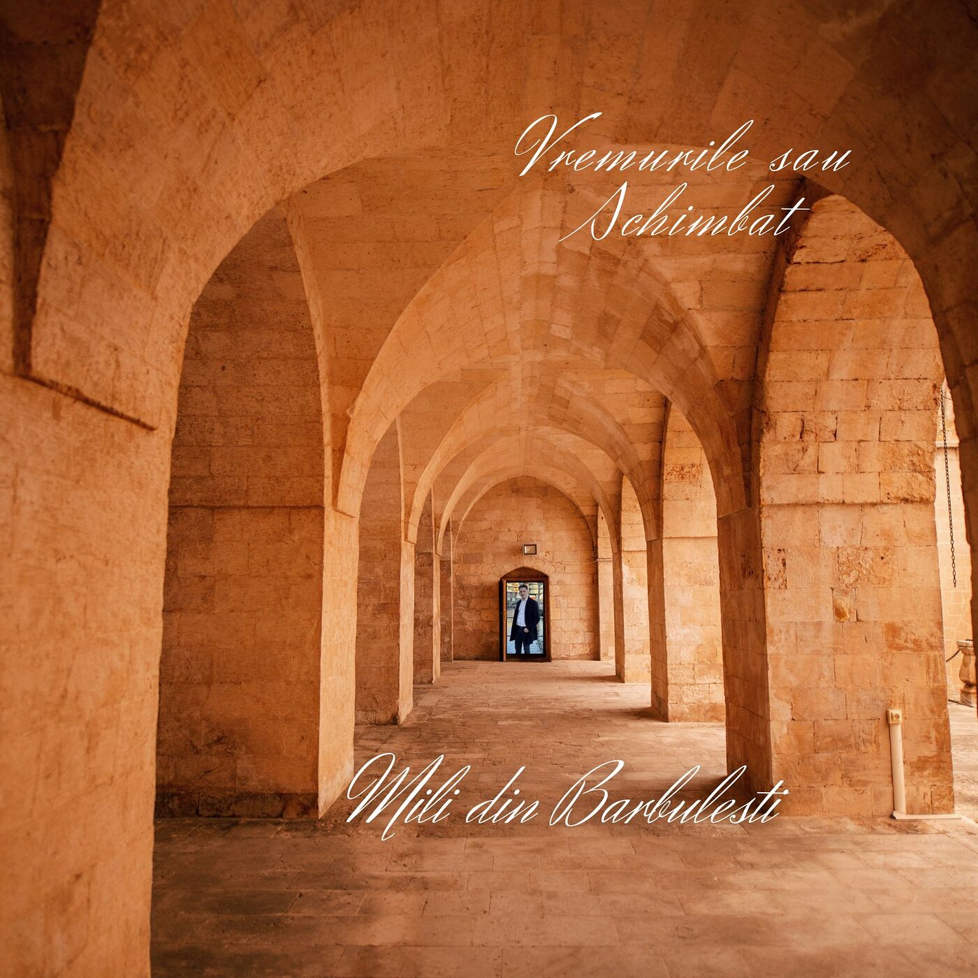 Mili din Barbulesti - Vremurile S-Au Schimbat (2022)