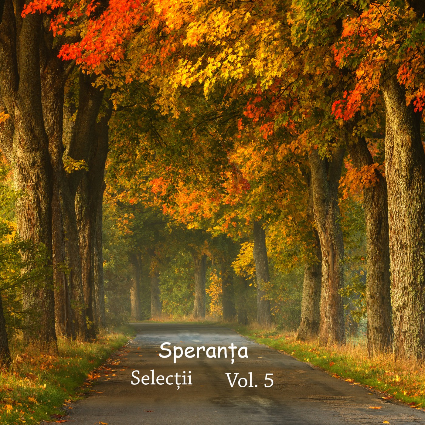 Speranta Selectii Volumul 5 (2017)