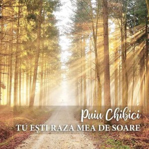 Puiu Chibici - Tu Esti Raza Mea De Soare (2019)
